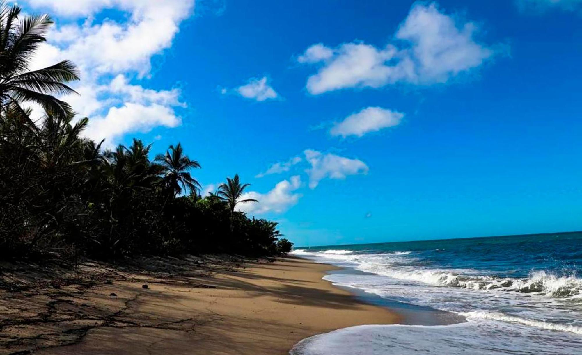 Hostal Mirador Dentro Del Parque Tayrona El Zaino Exteriör bild