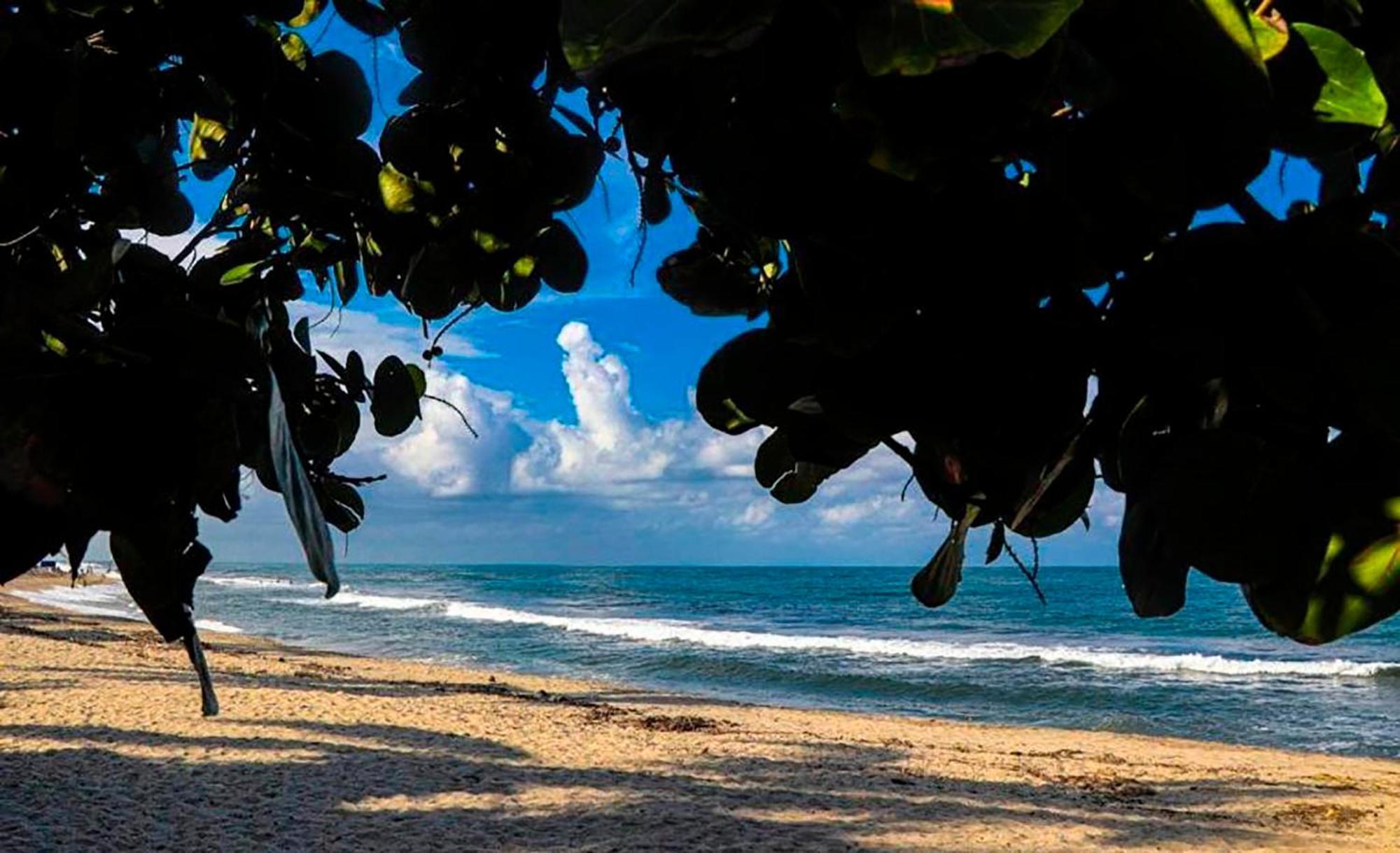 Hostal Mirador Dentro Del Parque Tayrona El Zaino Exteriör bild