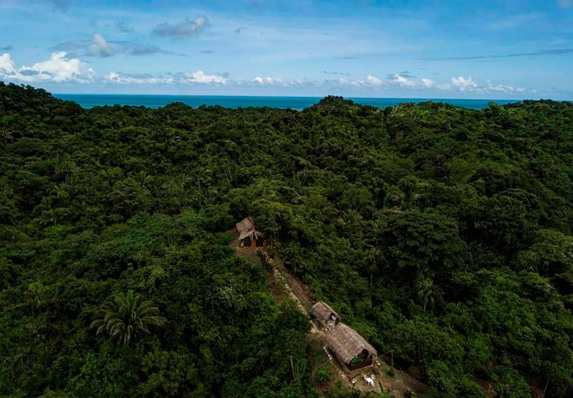 Hostal Mirador Dentro Del Parque Tayrona El Zaino Exteriör bild
