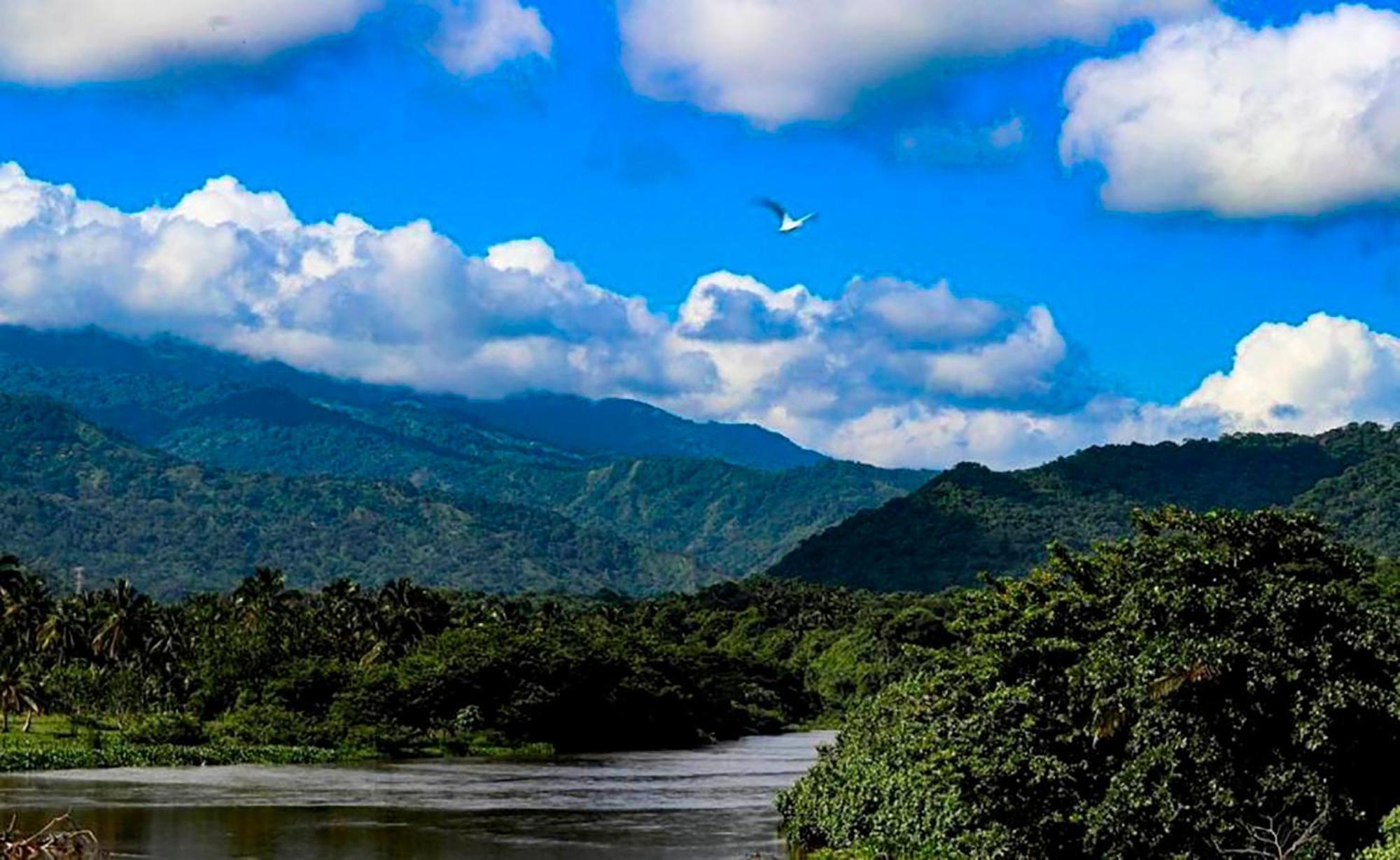 Hostal Mirador Dentro Del Parque Tayrona El Zaino Exteriör bild