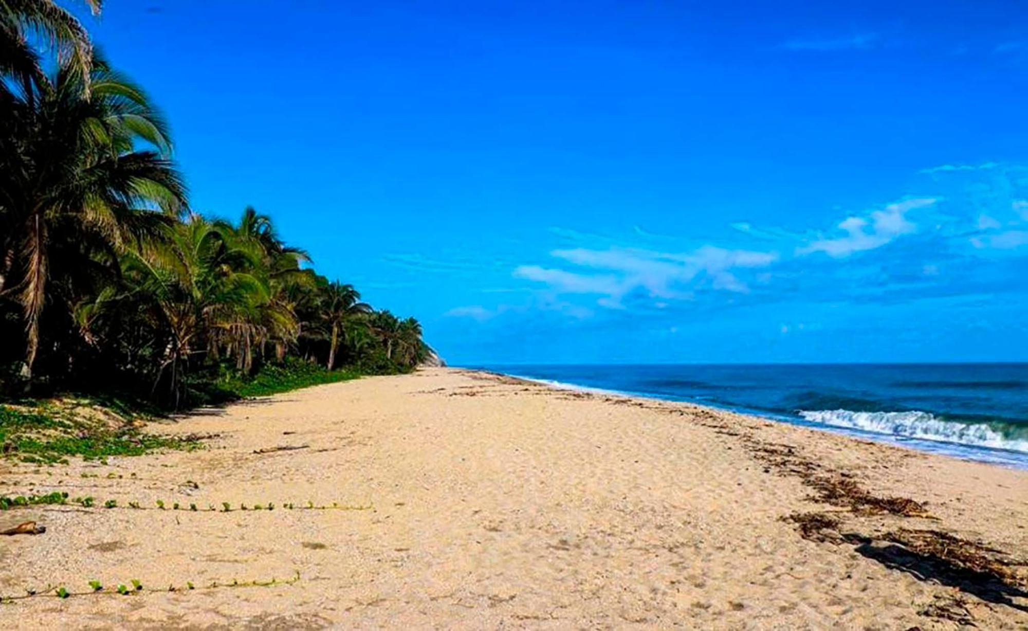 Hostal Mirador Dentro Del Parque Tayrona El Zaino Exteriör bild