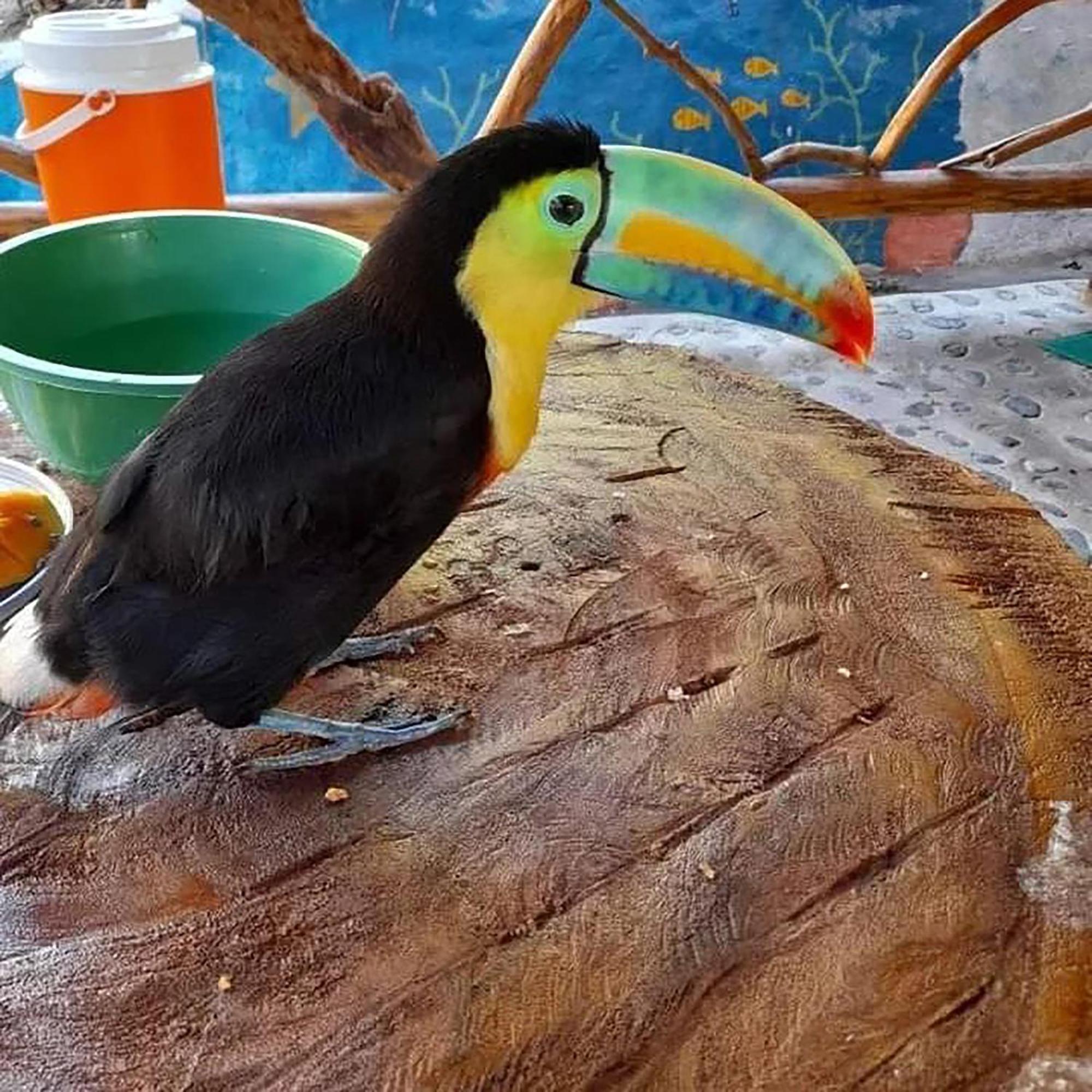 Hostal Mirador Dentro Del Parque Tayrona El Zaino Exteriör bild
