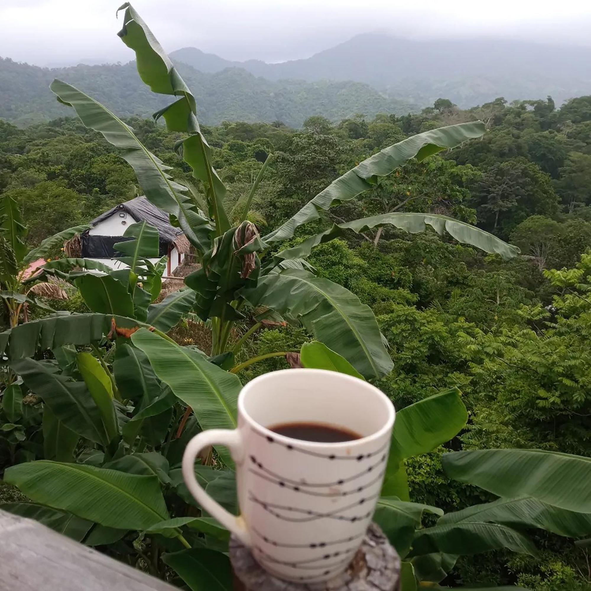 Hostal Mirador Dentro Del Parque Tayrona El Zaino Exteriör bild
