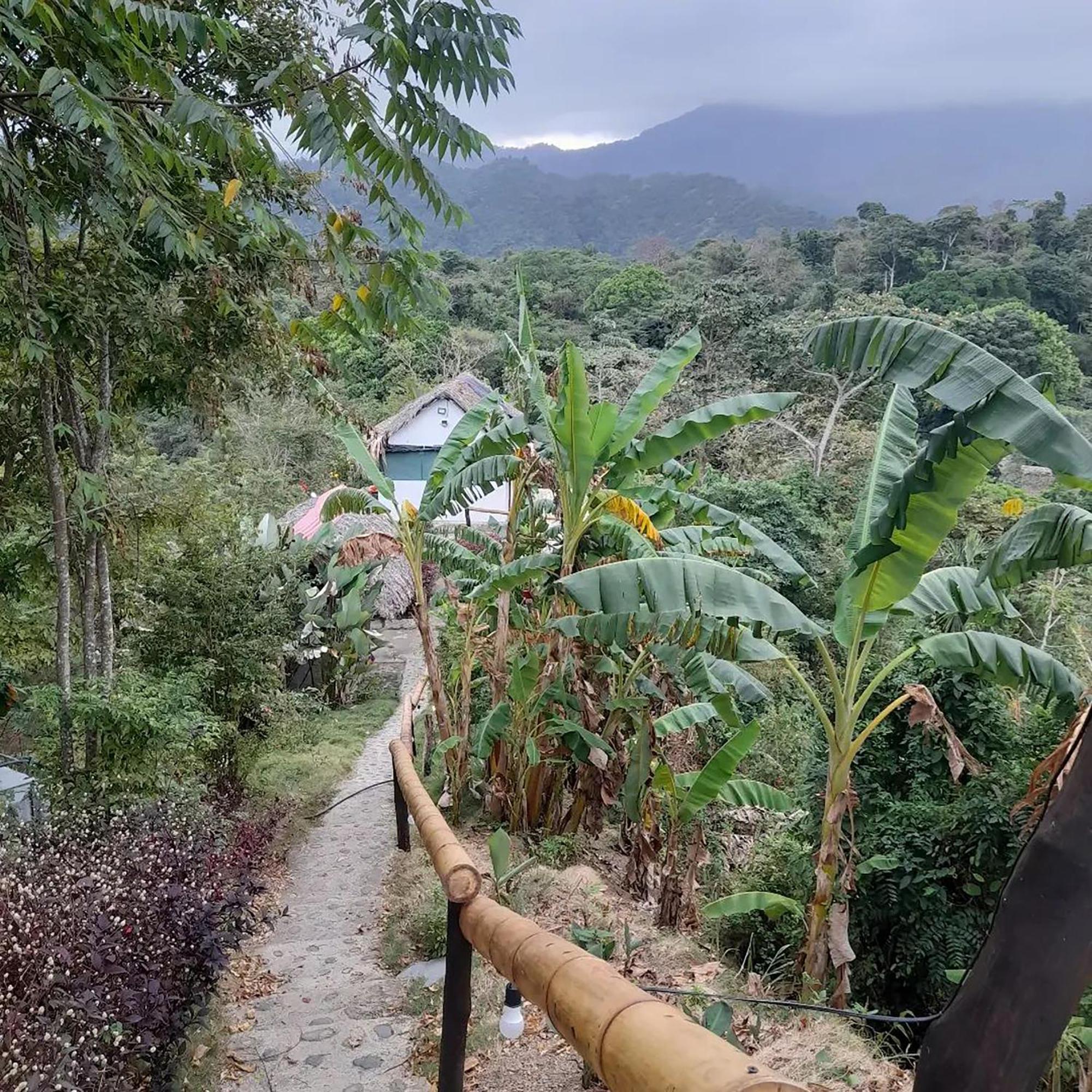 Hostal Mirador Dentro Del Parque Tayrona El Zaino Exteriör bild