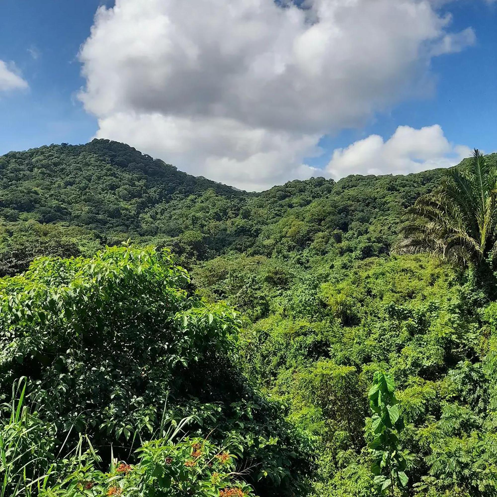 Hostal Mirador Dentro Del Parque Tayrona El Zaino Exteriör bild
