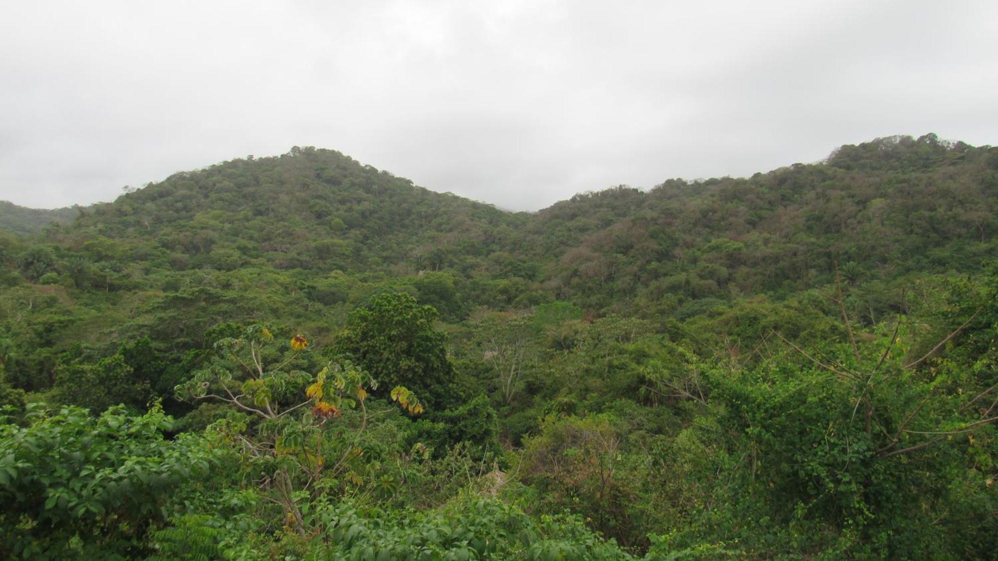 Hostal Mirador Dentro Del Parque Tayrona El Zaino Exteriör bild